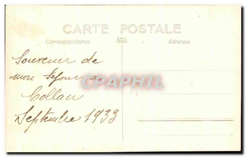 CARTE PHOTO Collau 1933 Femme et chiens  — Verso