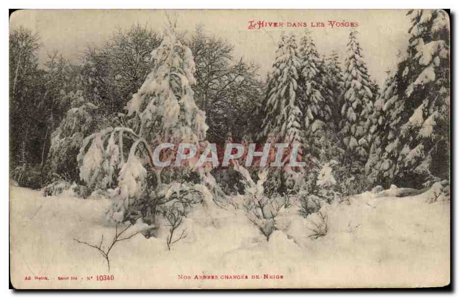 Winter in den Vosgen — Unsere Bäume beladen mit Schnee — Ad. Watzke, Nr. 10340