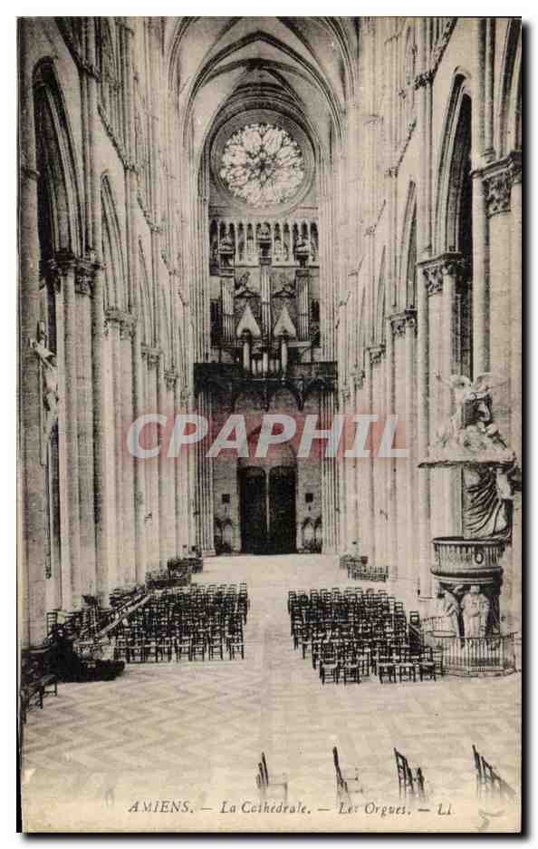 CPA Amiens La Cathedrale Les Orgues