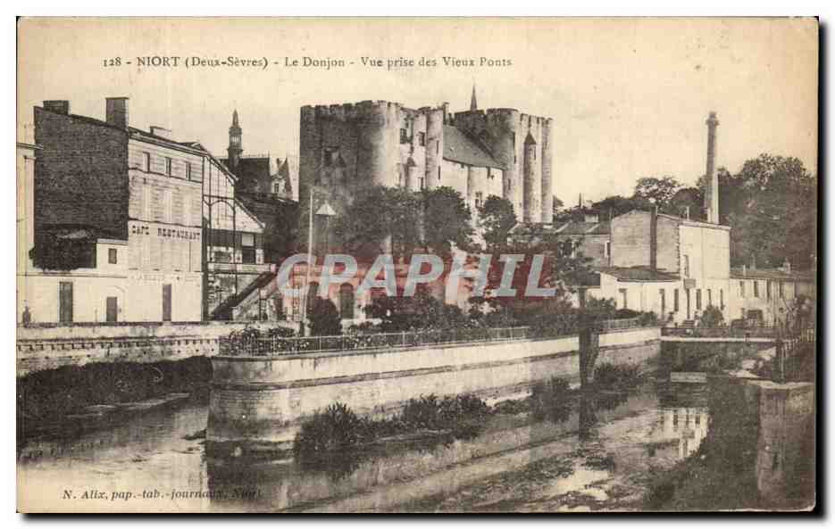 CPA Niort Le Donjon Vue prise de Vieux Ponts
