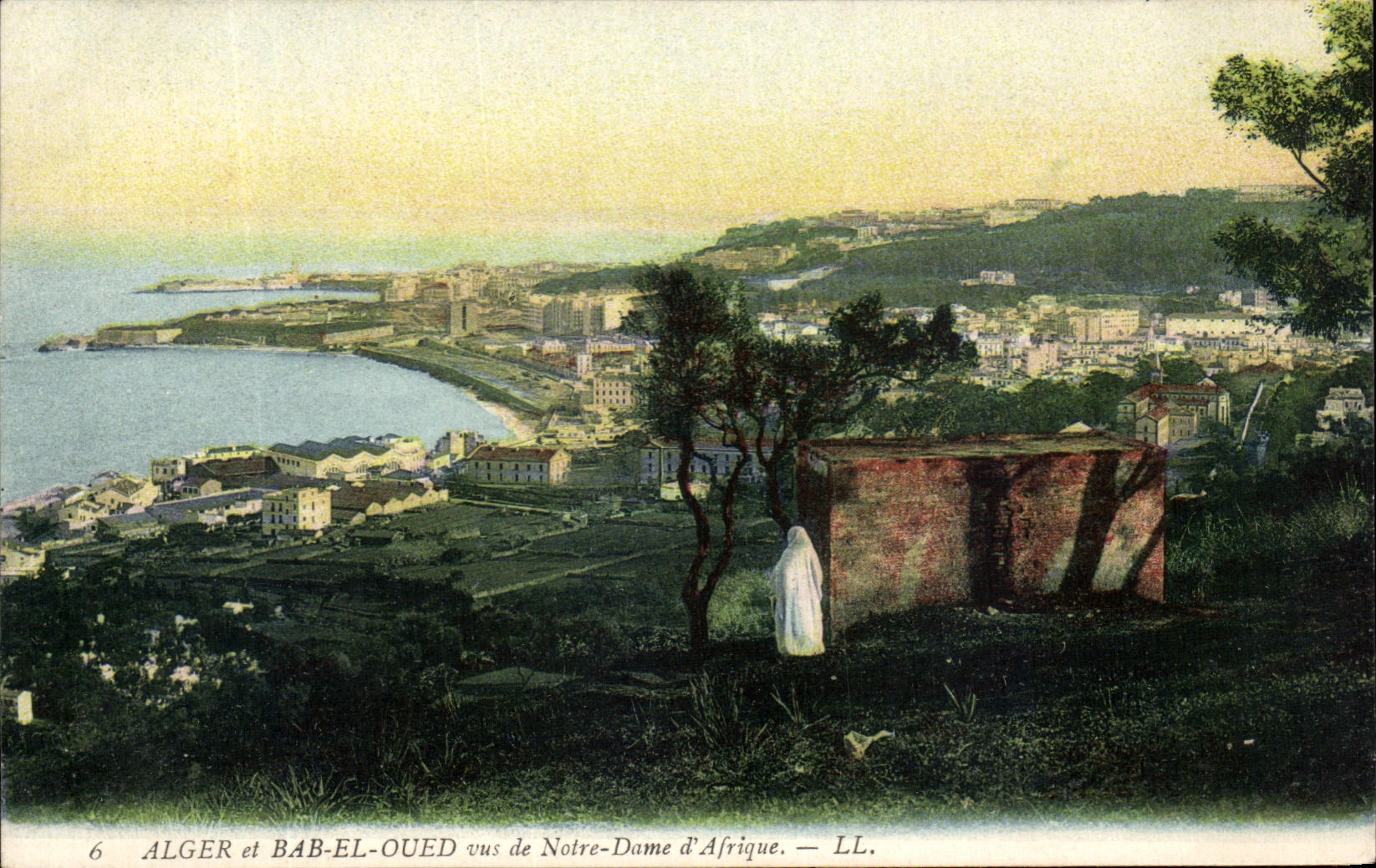 CPA Alger et Bab El Oued vus de Notre Dame d'Afrique Algerie 