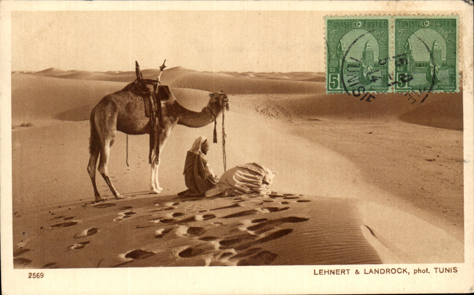 CPA Tunisie Chameau Priere Islam
