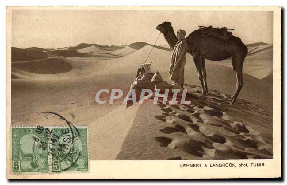 CPA Tunisie Chameau Priere Islam