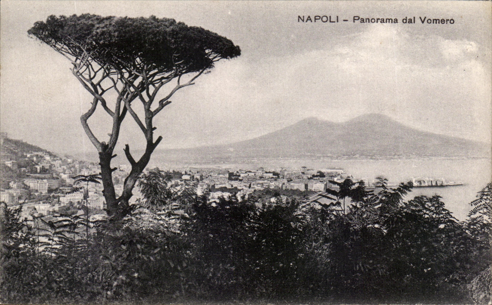 CPA Napoli Panorama Dal Vomero