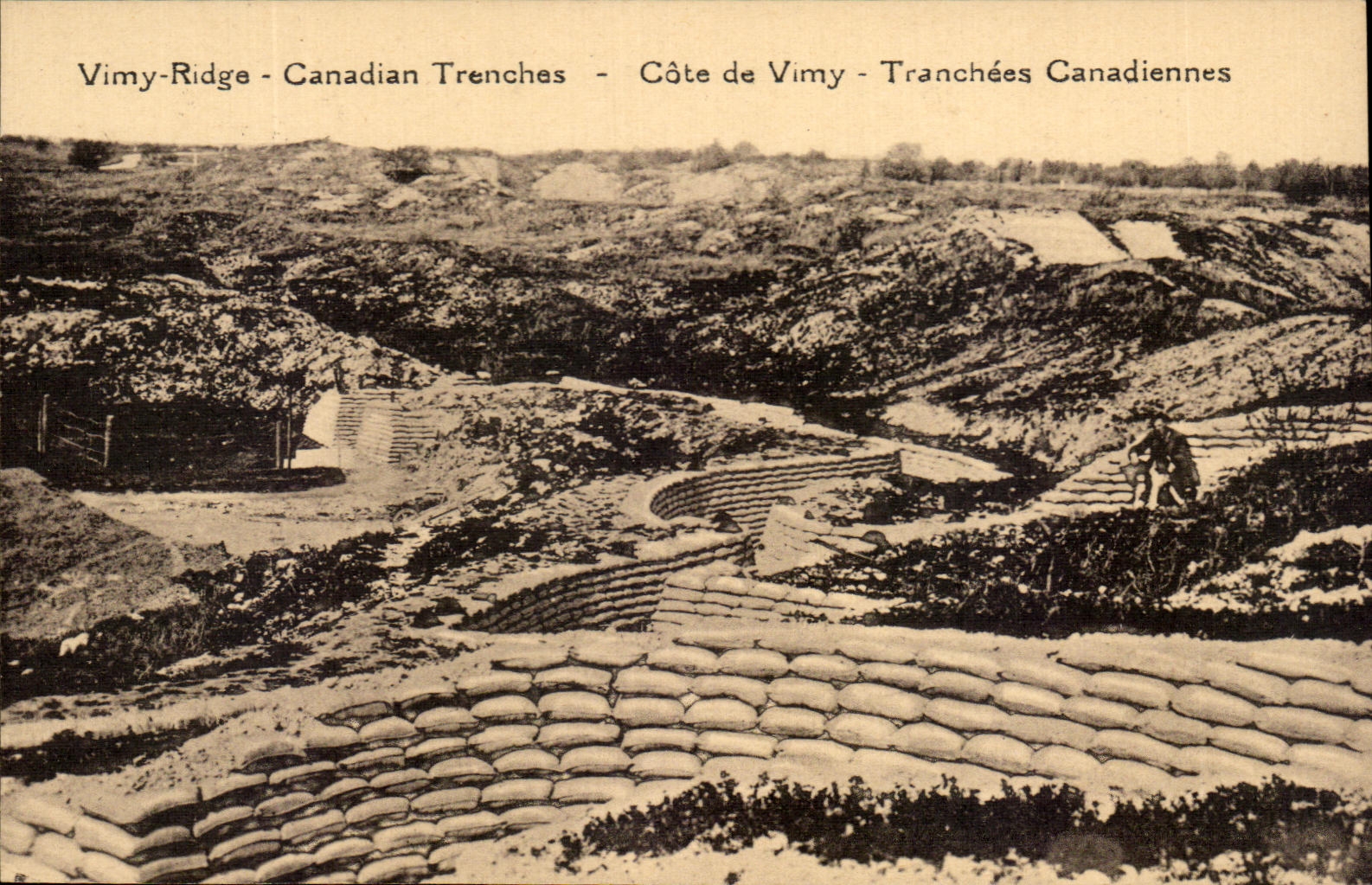 CPA Cote De Vimy Tranchees Canadiennes Militaria 