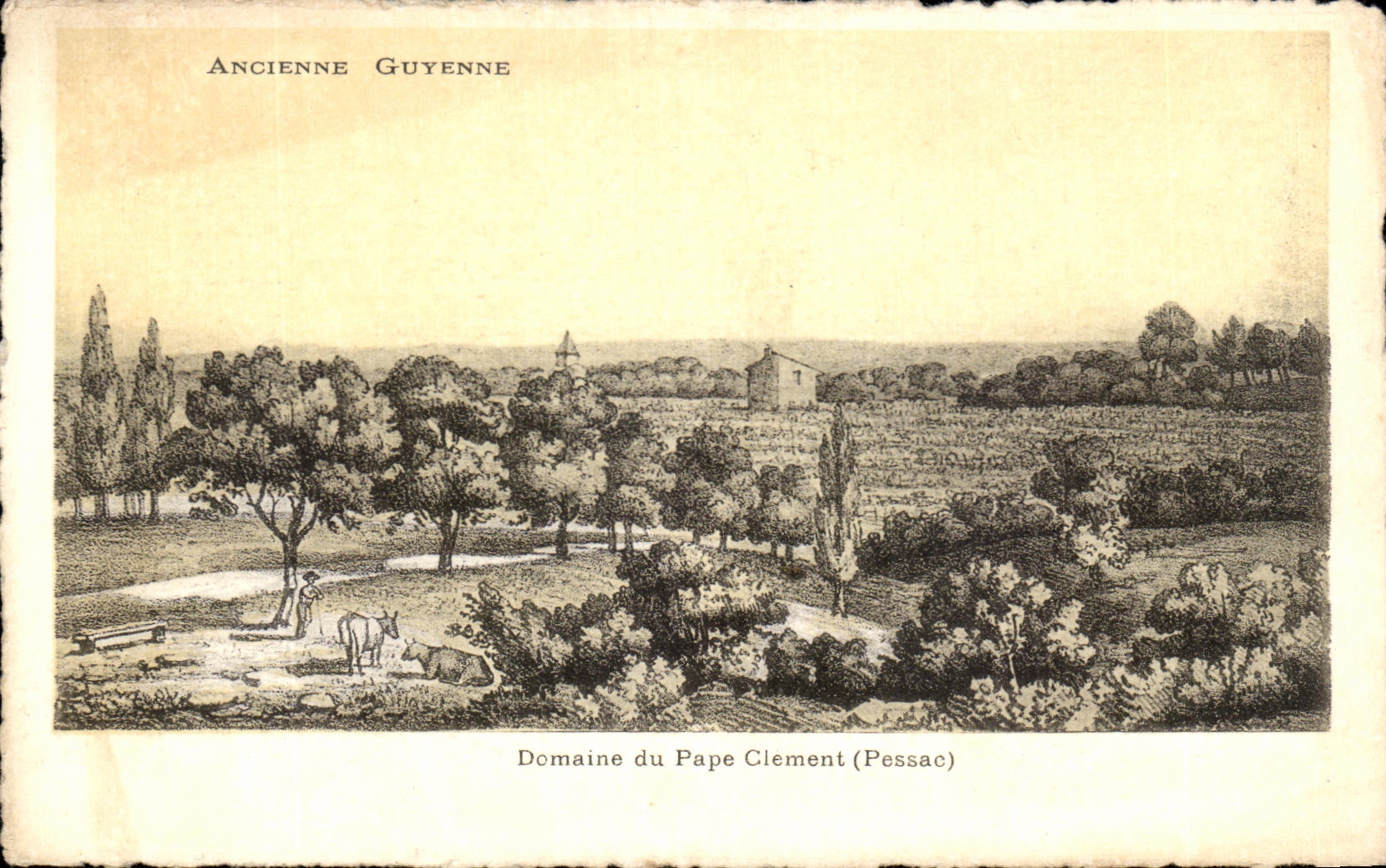 Domaine du Pape Clément (Pessac) — Ancienne Guyenne — éditeur CPAPHIL, n° 31