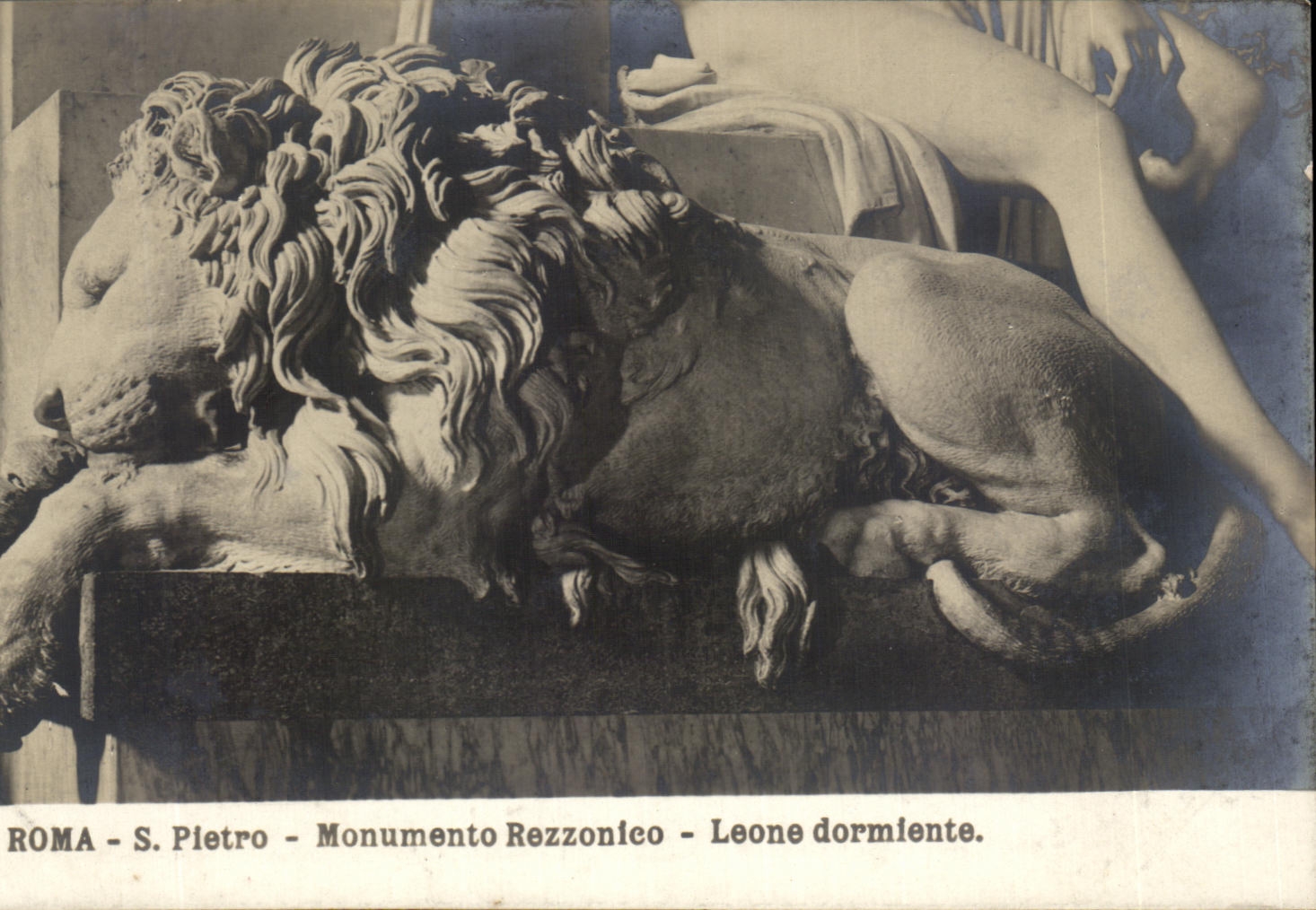 CPA Roma Pietro Monumento Rezzonico Leone Dormiente Lion