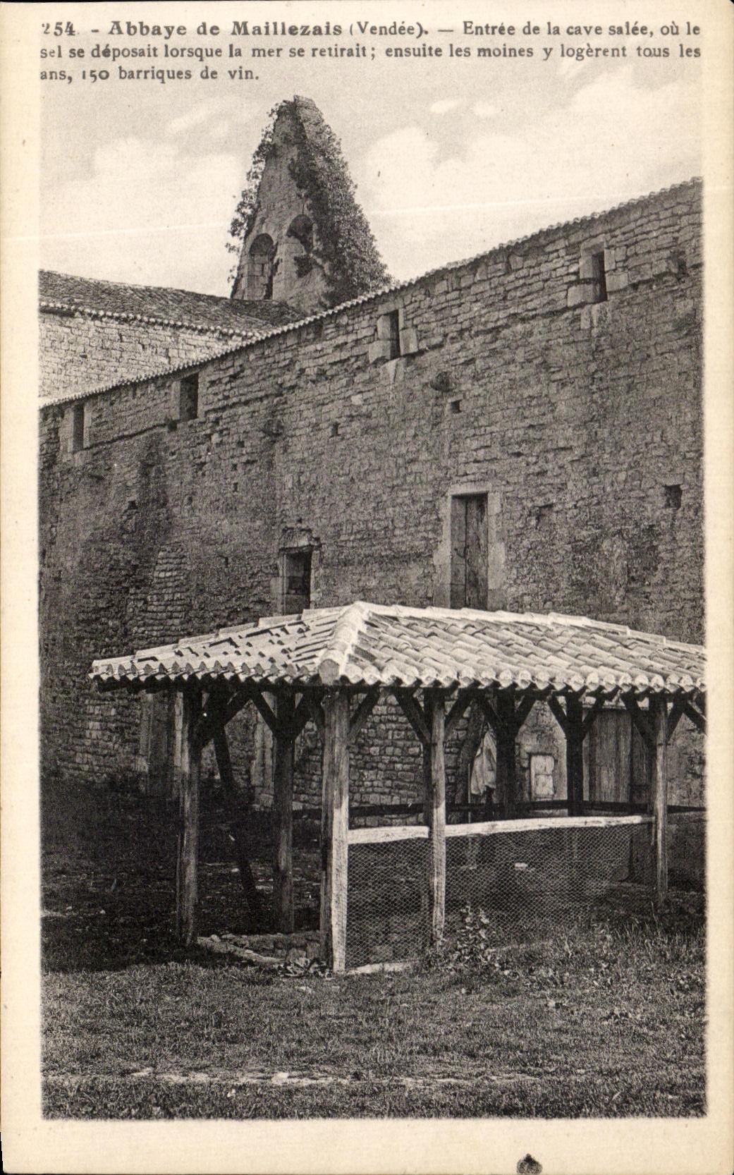 CPA Abbaye De Maillezais Entree De La Cave Salee Ou Le Sel Se Deposait Lorsque La Mer Se retirait 