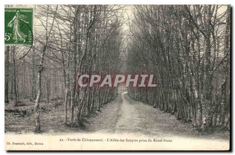 Forêt de Châteauneuf - L'Allée des Soupirs prise du Rond-Point — Ch. Foucault, édit., Dreux