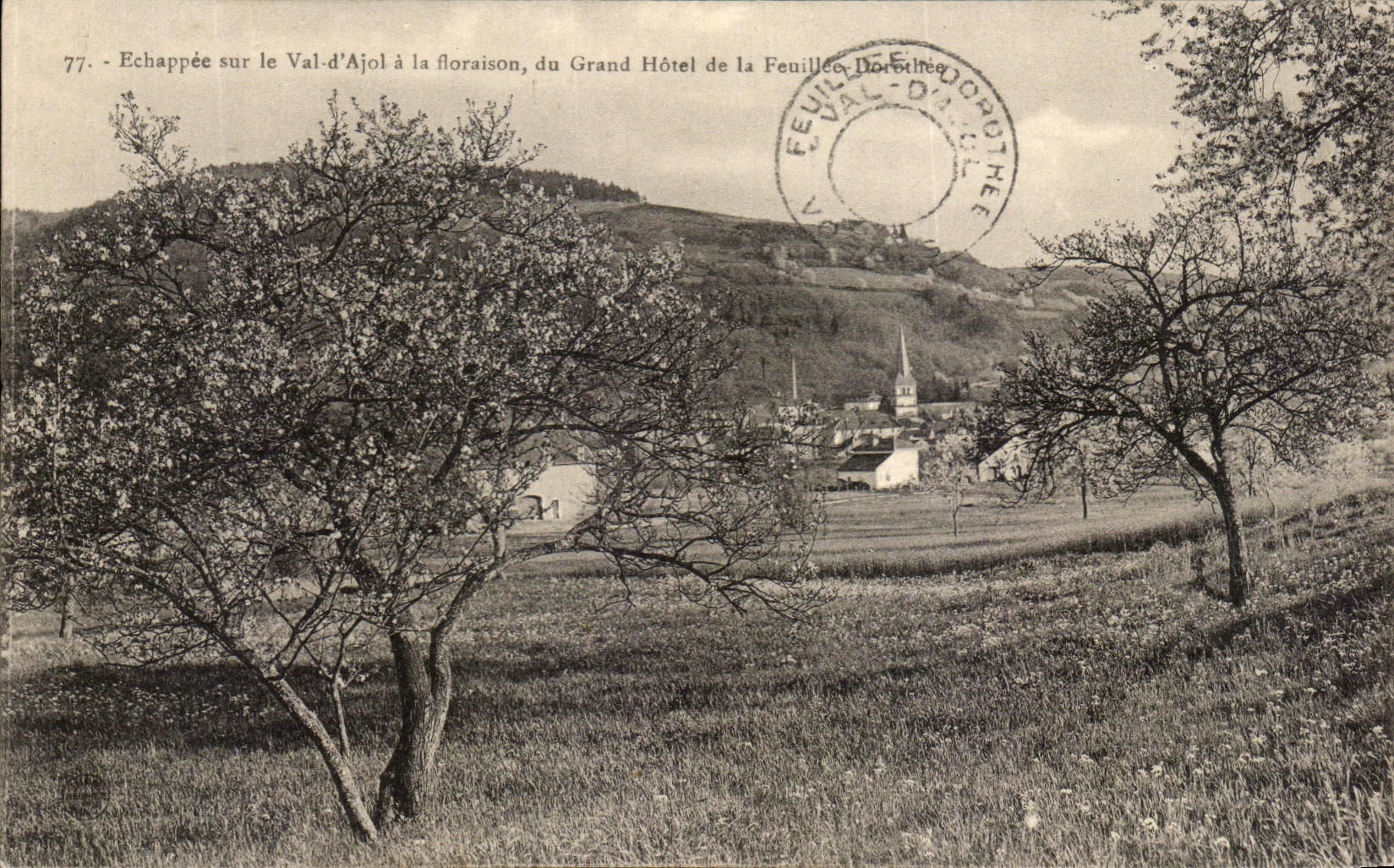 CPA Echappee Sur Le Val d'Ajol A La Floraison Du Grand Hotel De La Feuillee Dorothee