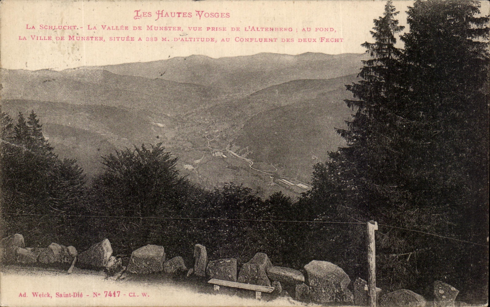 Les Hautes Vosges — La Schlucht, vue de L'Altenberg sur la vallée de Munster — Ad. Weick, Saint-Dié, N° 7447