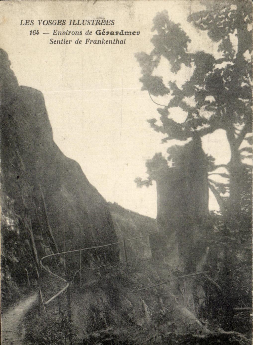 CPA Les Vosges Illustrees Environs De Gerardmer Sentier De Frankenthal