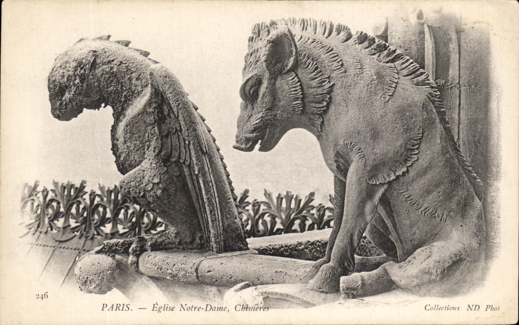 CPA Paris Eglise Notre Dame Chimeres Sanglier 