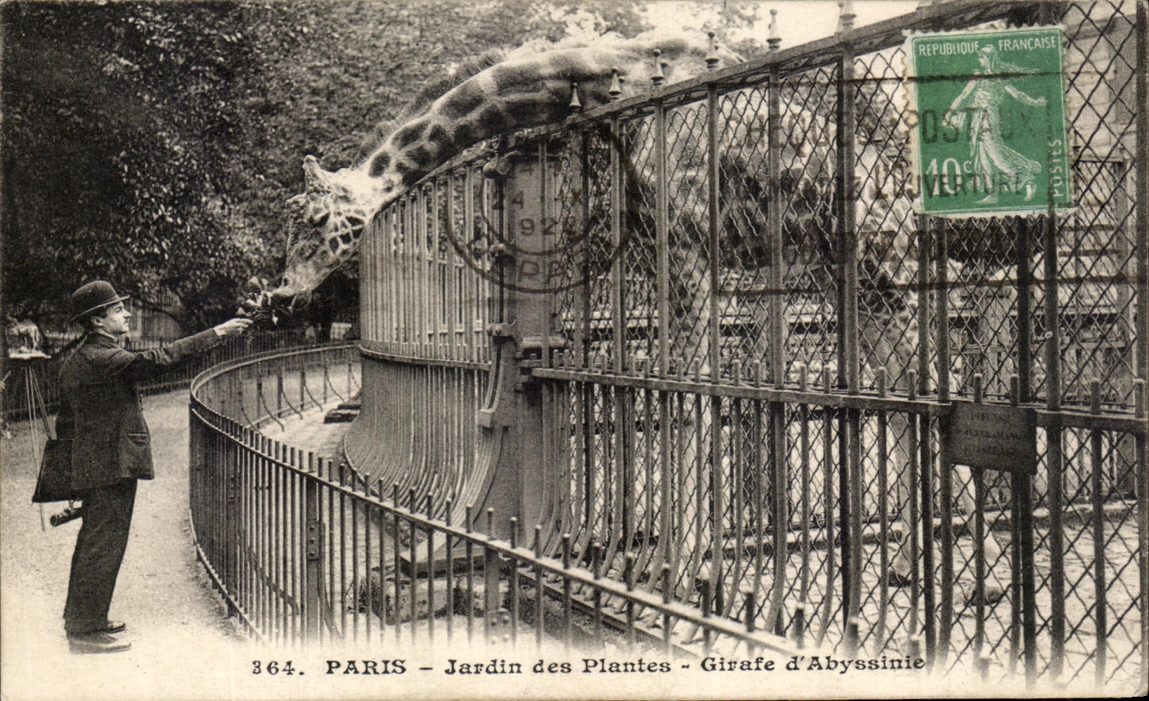 CPA Paris Jardin des Plantes Girafe d'Abssinie
