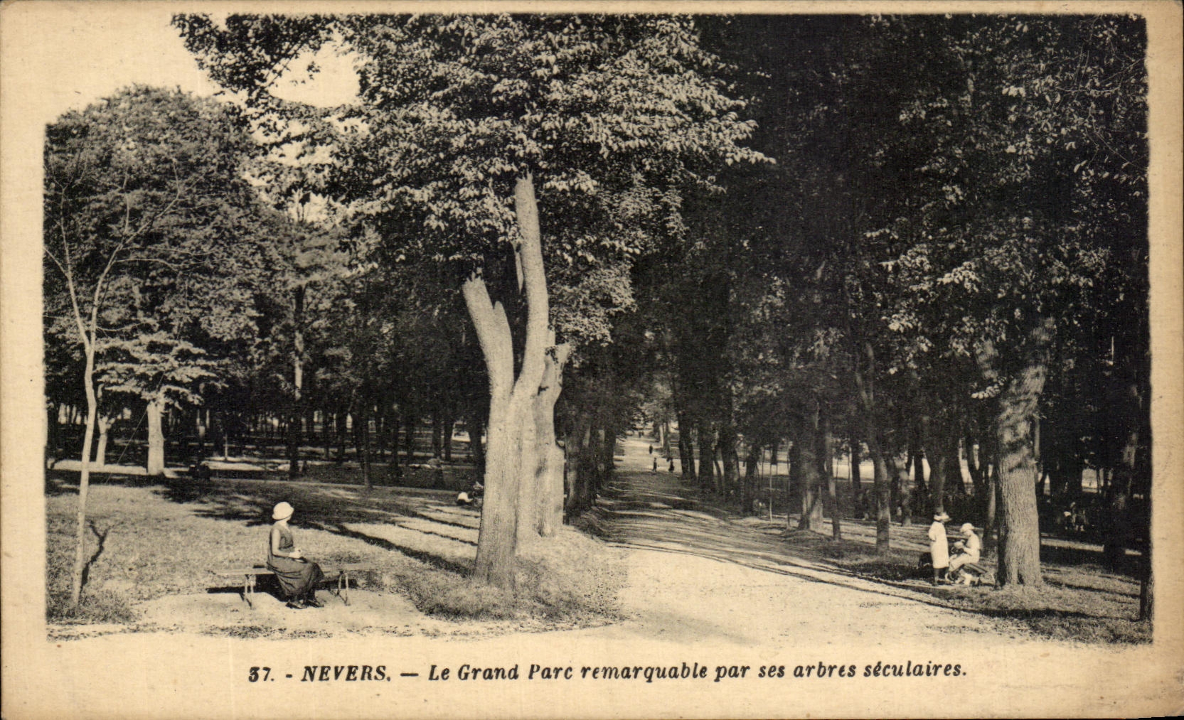 Nevers — Der Große Park, bemerkenswert für seine alten Bäume — G. Arraud, Verleger