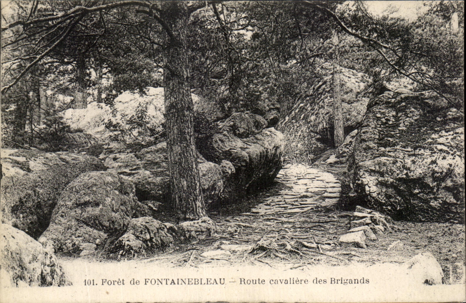Bosque de FONTAINEBLEAU — Camino caballeresco de los Bandidos — n° 101