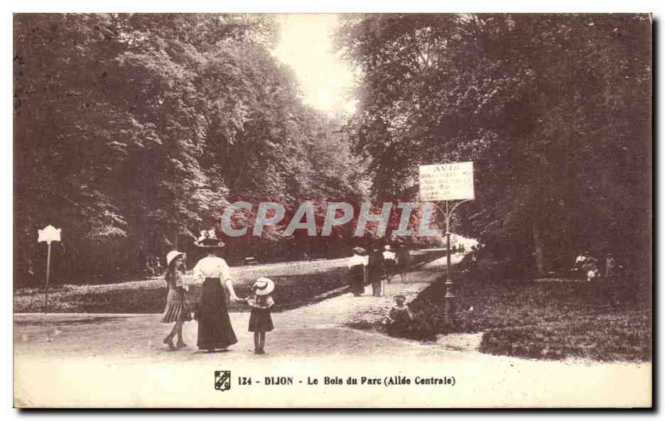 CPA Dijon Le Bois du Parc Allee centrale Enfants 