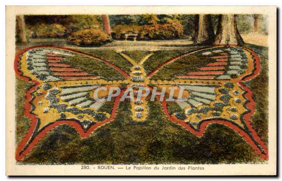CPA Rouen Le Papillon du Jardin des Plantes