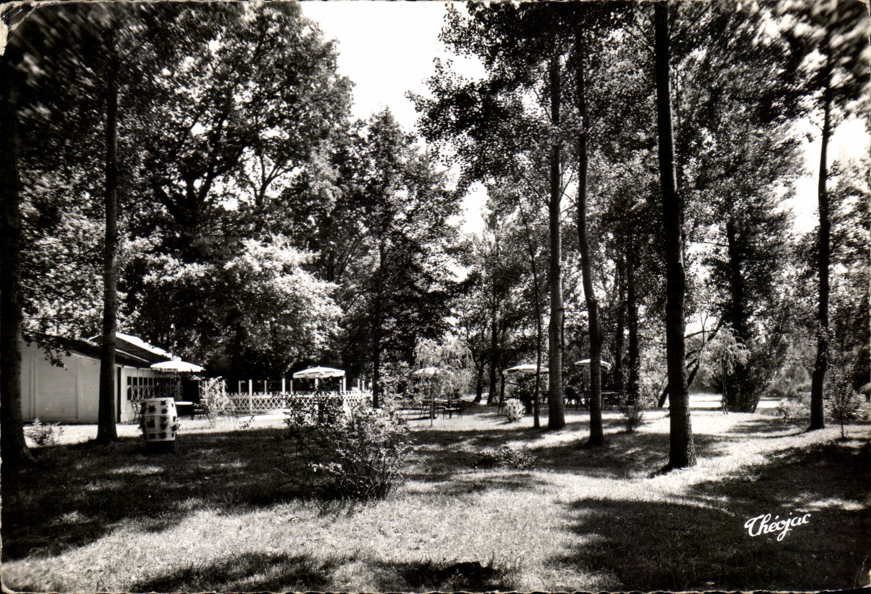 Jardin ombragé à Chéyjac — éditeur Chéyjac, n° de série non visible