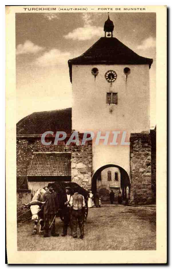 CPA Turckheim Porte De Munster Attelage Boeufs