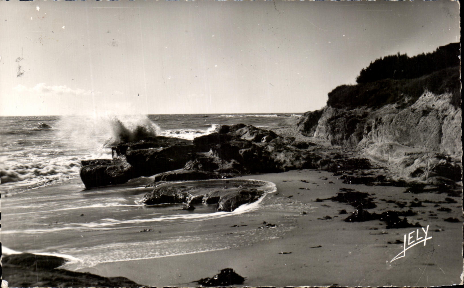 CPA Bretignolles sur Mer La Cote Sauvage