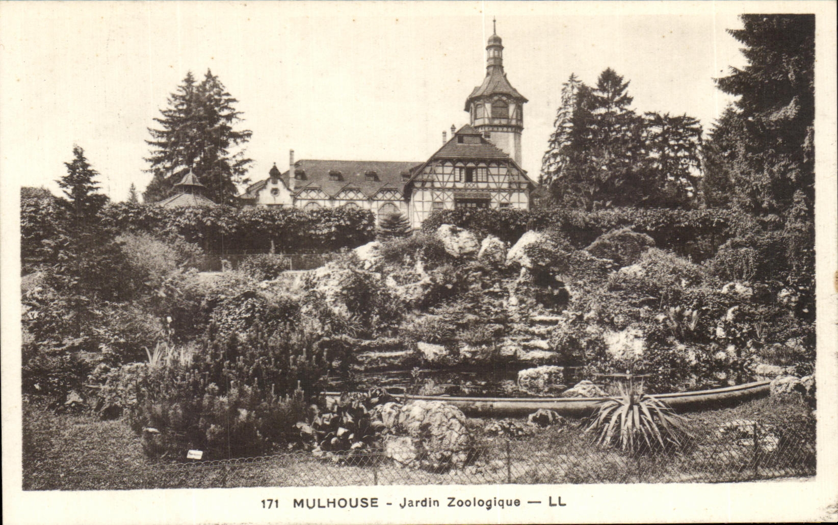 CPA Mulhouse Jardin Zoologique Zoo