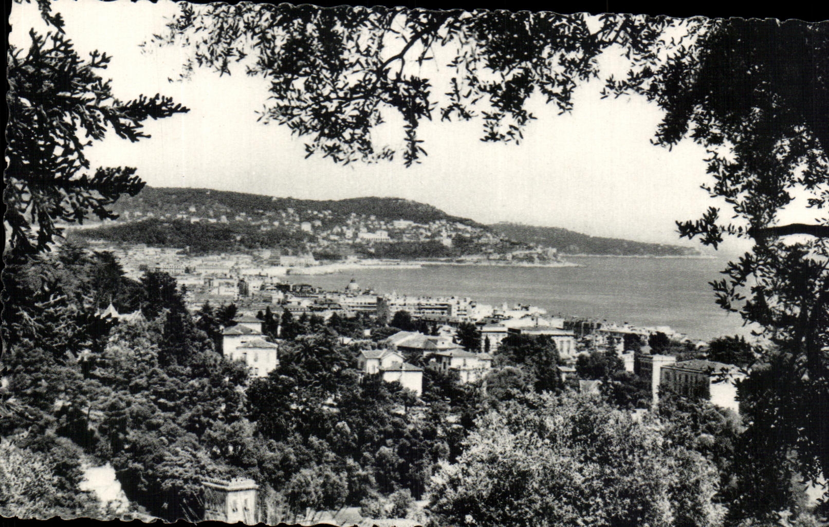 CPA Nice Vue Prise De Bellet