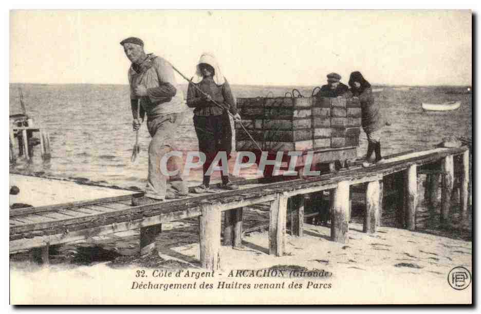 Arcachon (Gironde) — Déchargement des Huitres venant des Parcs — Éditeur C.E.E. n° 438 14
