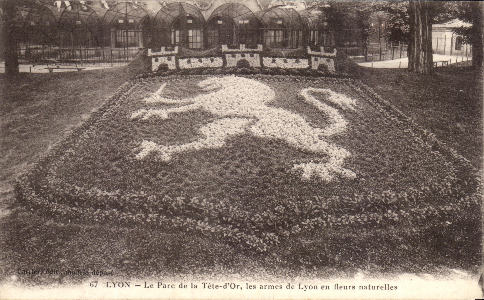 LYON – Le Parc de la Tête-d'Or, les armes de Lyon en fleurs naturelles — Carrier, édit. modèle déposé