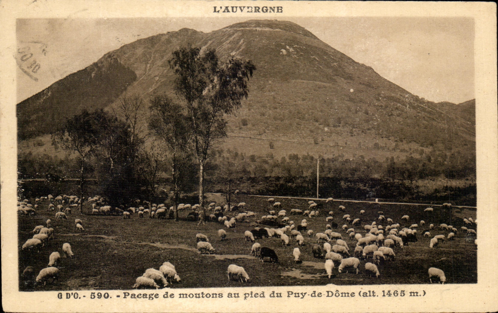 CPA L'Auvergne Payage De Moutons Au Pied Du Puy De Dome