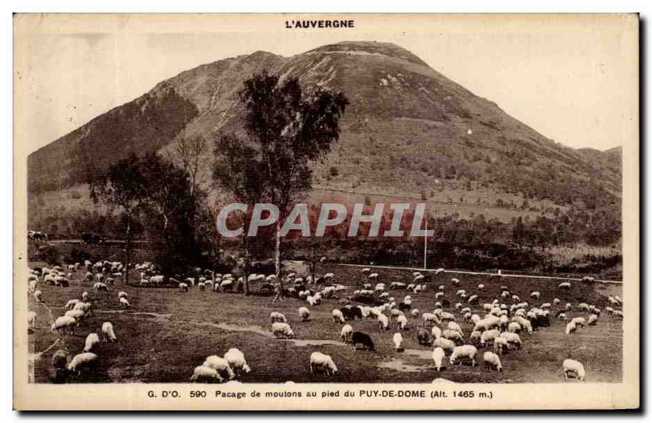 Pacage de moutons au pied du PUY-DE-DOME (Alt. 1465 m.) — L'Auvergne — G. D'O. n° 590