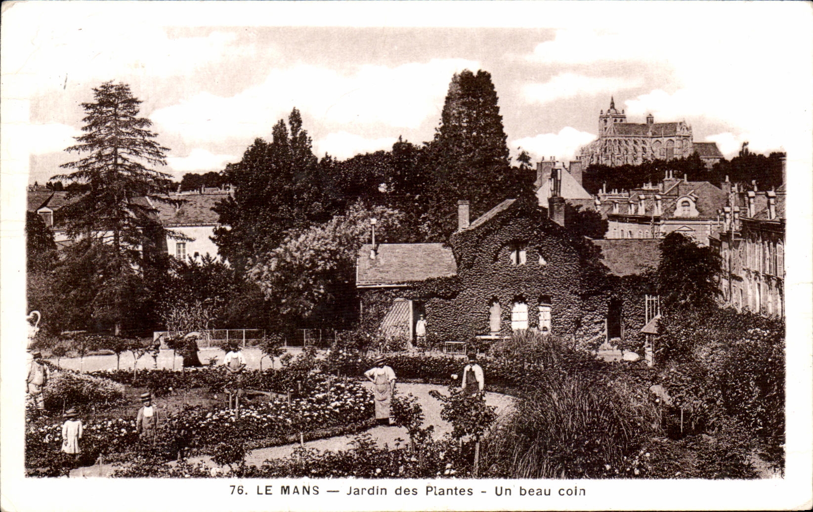 CPA Le Mans Jardin des Piantes un beau coin