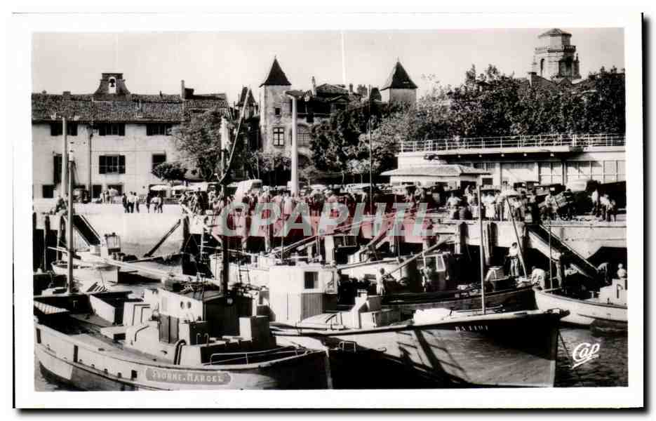 CPA St Jean De Luz Le Port Les Quais Les Thoniers Bateaux Yvonne Marceau 
