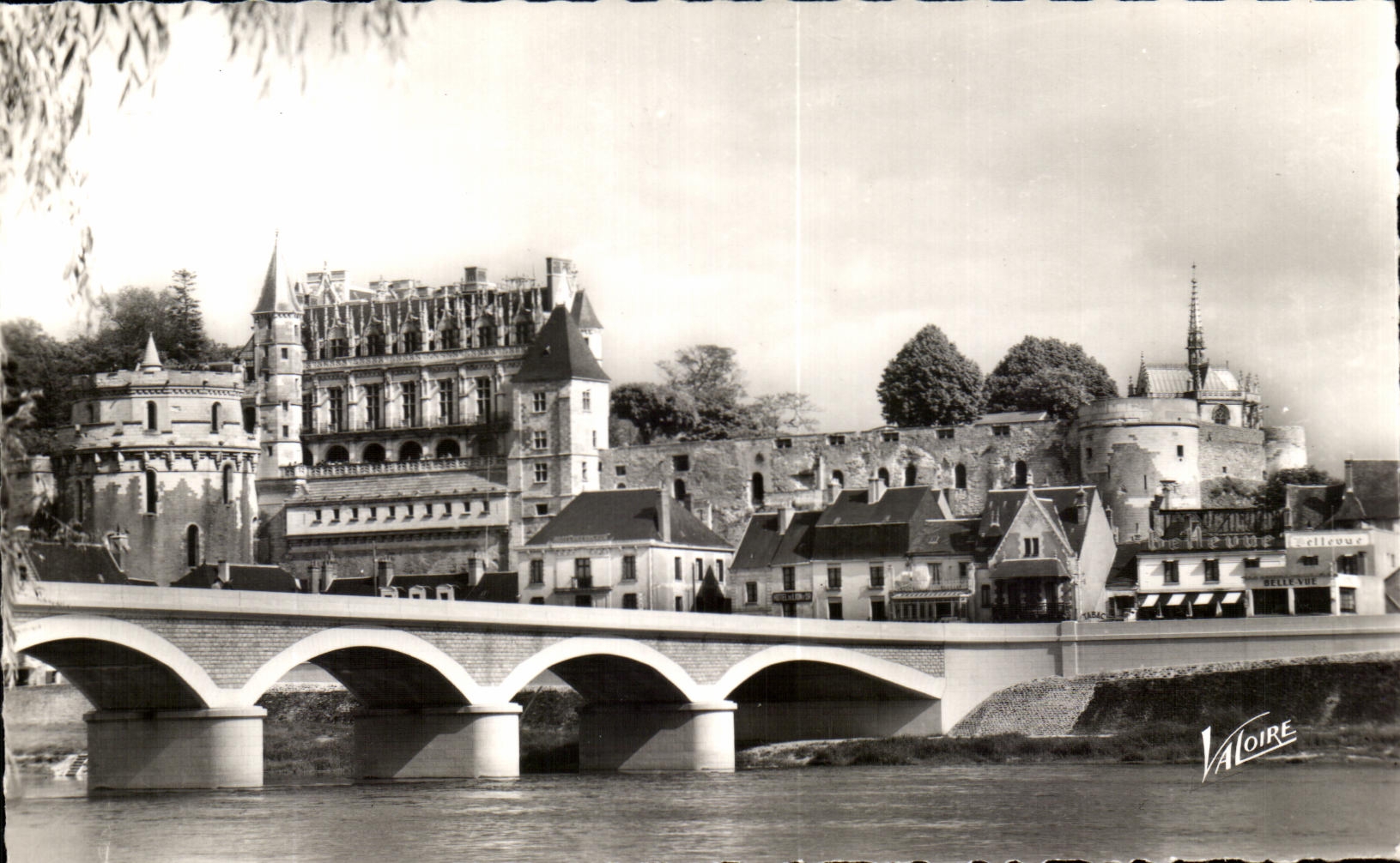 CPA Les Merveilles Du Val De Loire Amboise Le Chateau