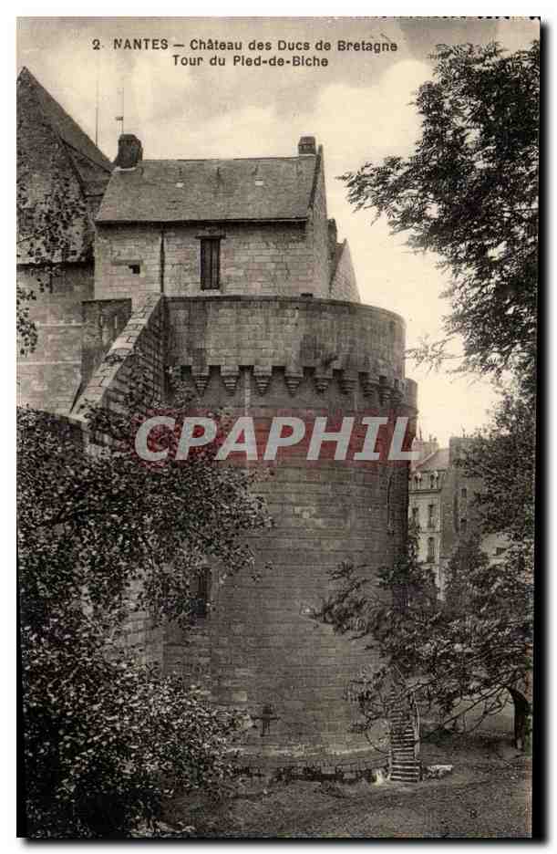 CPA Nantes Chateau Des Ducs De Bretagne Tour Du Pled De Blche