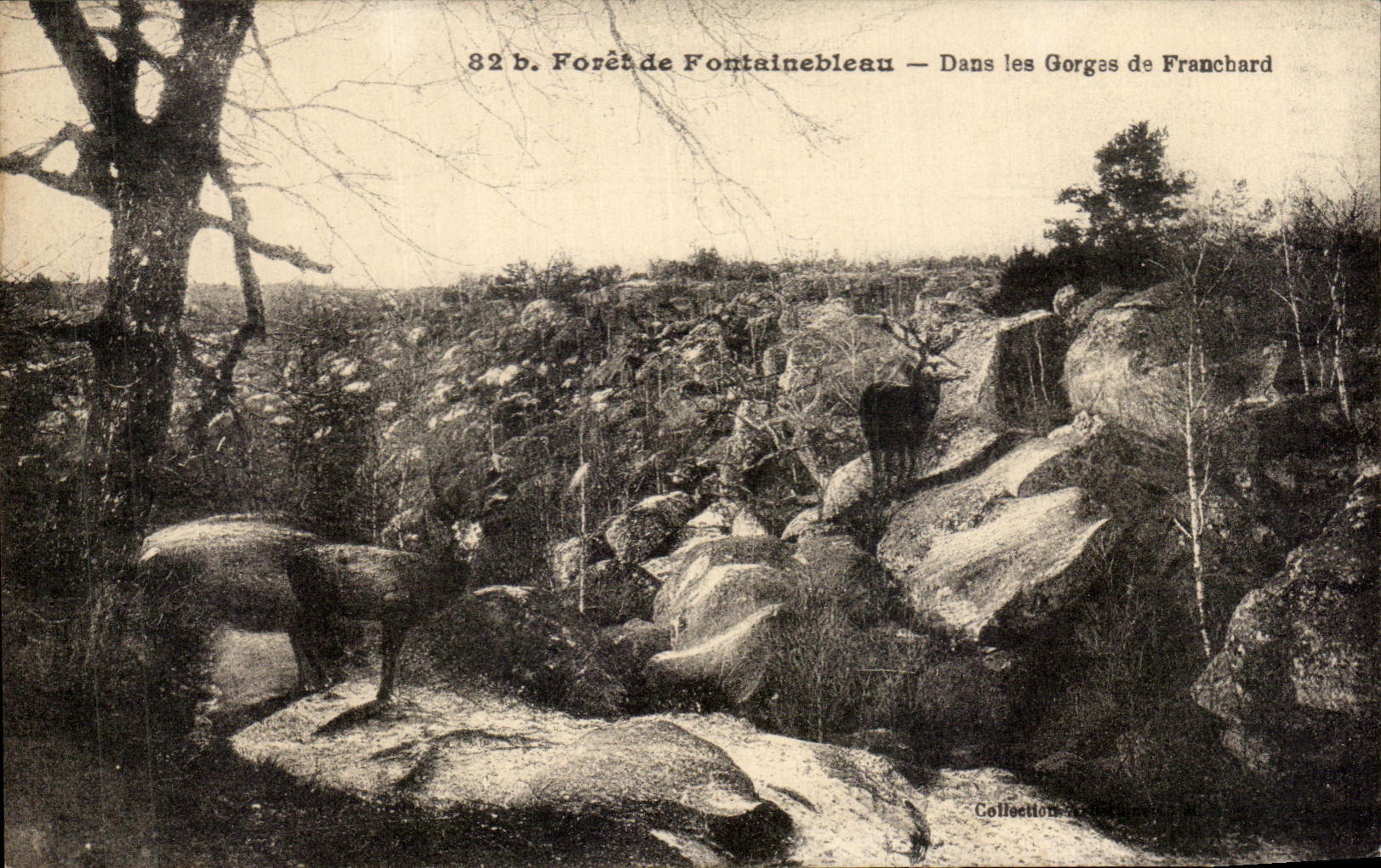 Forêt de Fontainebleau — Dans les Gorges de Franchard — Collection G. Goujon