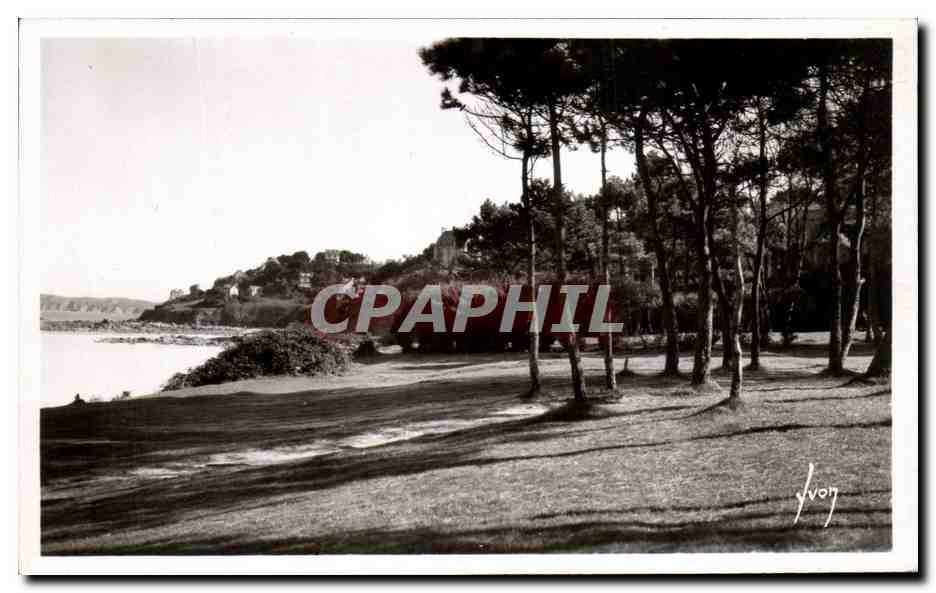 Sapinière en bordure de la plage de Trestraou — Perros-Guirec (C.-du N.) — Éditions d'Art 'VIVON', Paris
