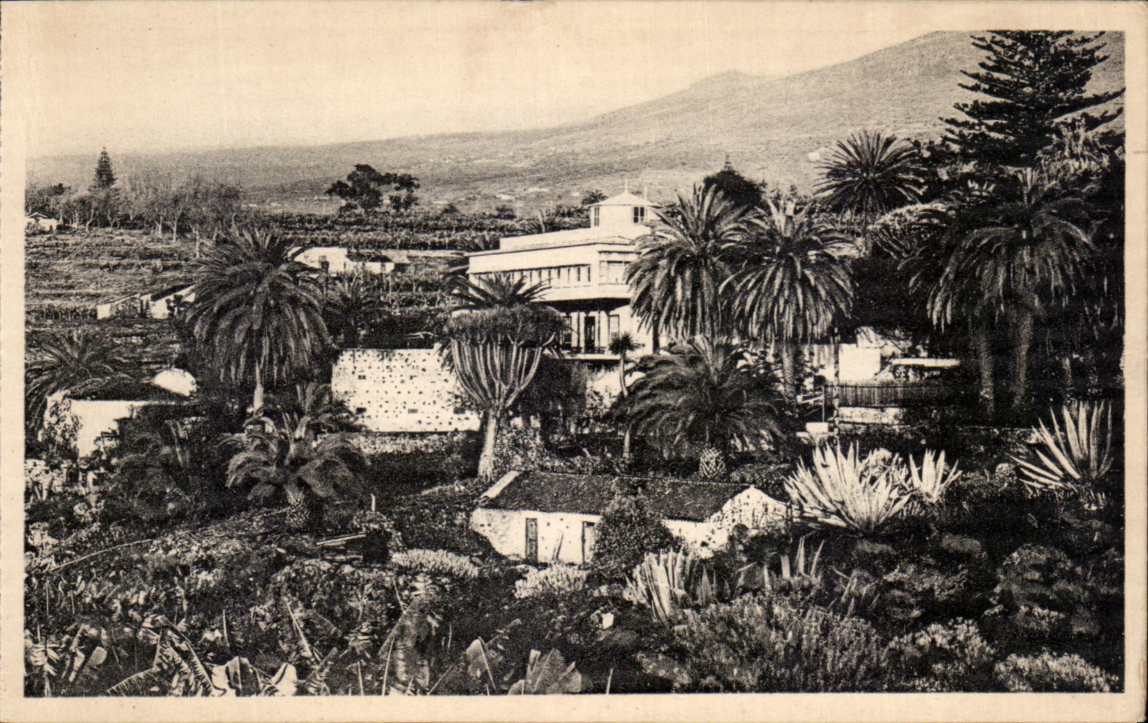 CPA Tenerife Motivo de la Orotava