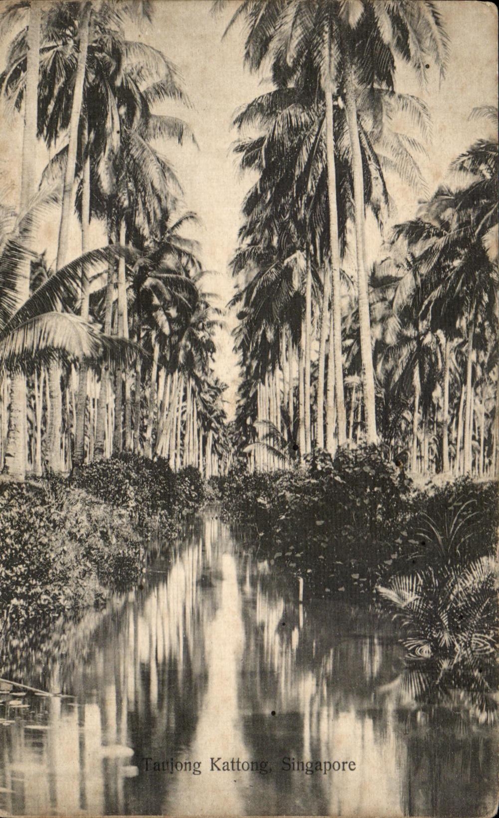 CPA Taujong Kattong Singapore Singapour 