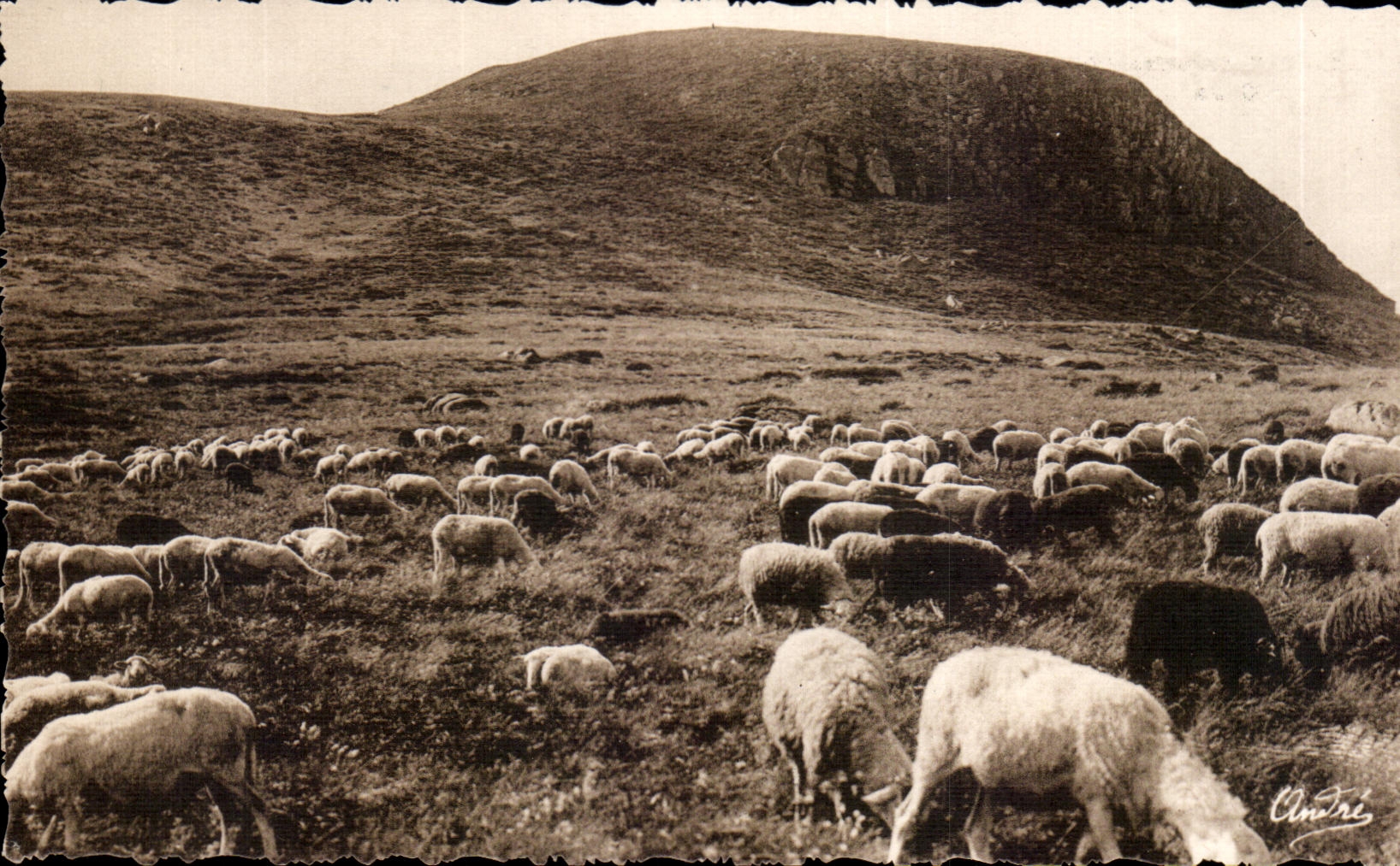 Pâturage sur les Hauts plateaux — Auvergne — Édition d'Art André, Grenoble