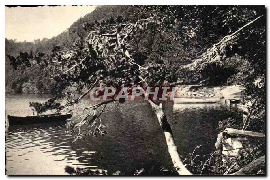 Ufer des Sees Pavin — Umgebung von BESSE — Editions C.A.D.S.E., Grenoble