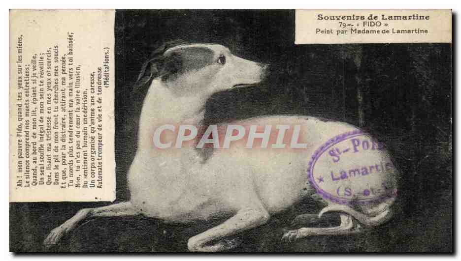Chien Fido — Souvenirs de Lamartine — Peint par Madame de Lamartine
