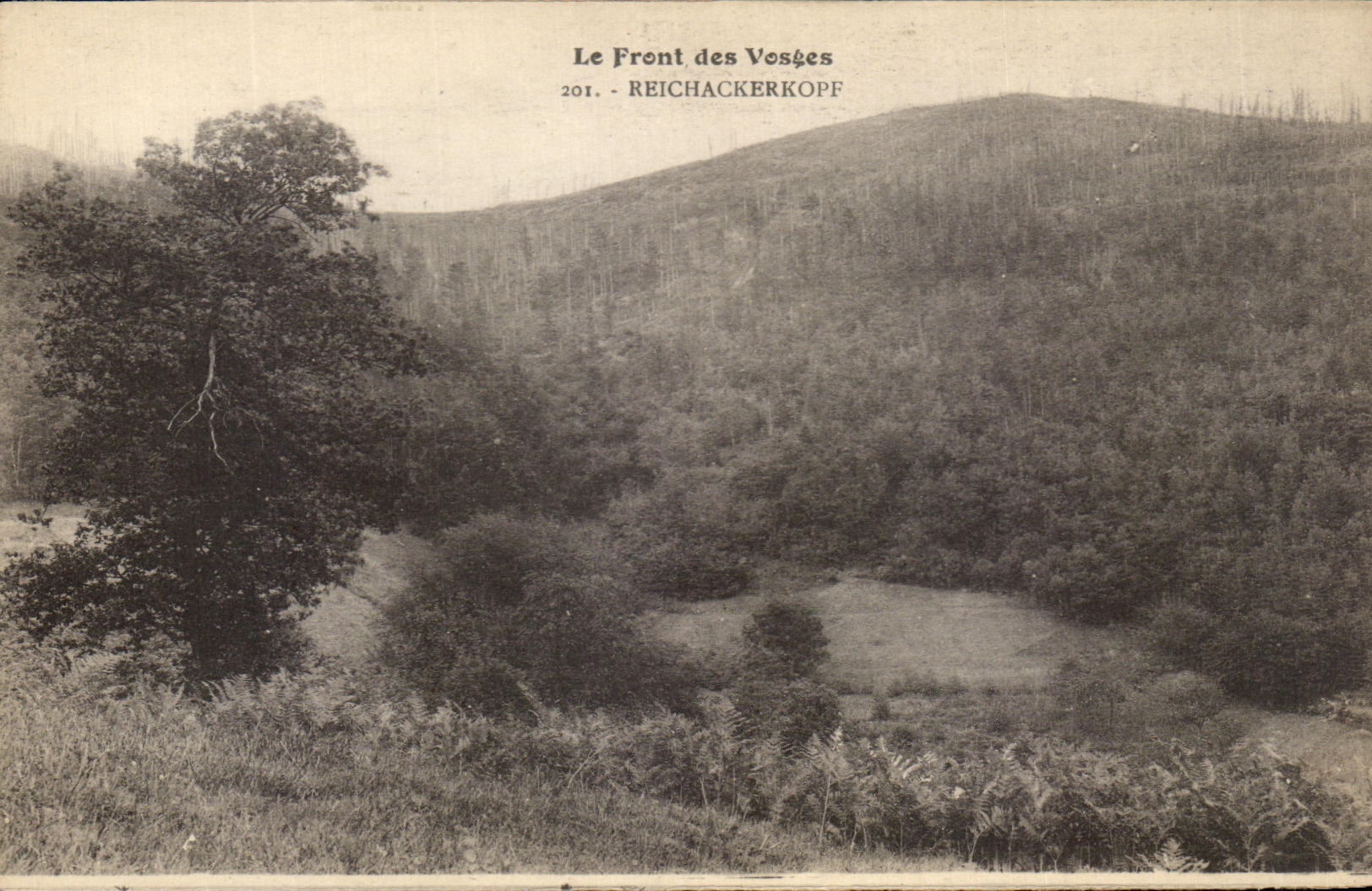 Le Front des Vosges — Reichackerkopf — Éditeur : Cie Bergeret, Strasbourg
