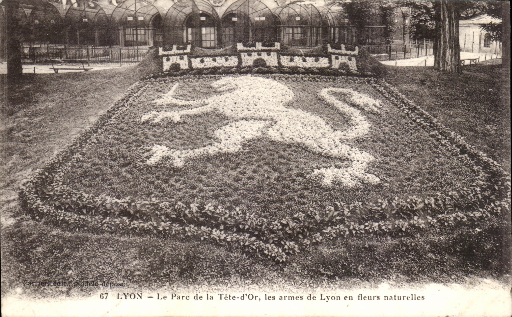 LYON — Le Parc de la Tête-d'Or, les armes de Lyon en fleurs naturelles — Carrier sait, modèle déposé, n°67
