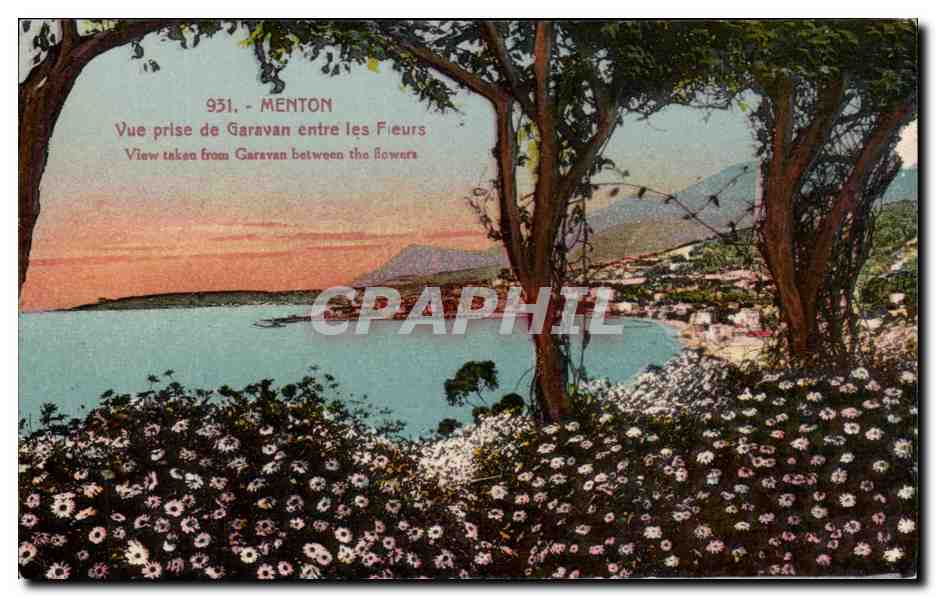 CPA Menton Vue Prise de Garavan entre les Fleurs