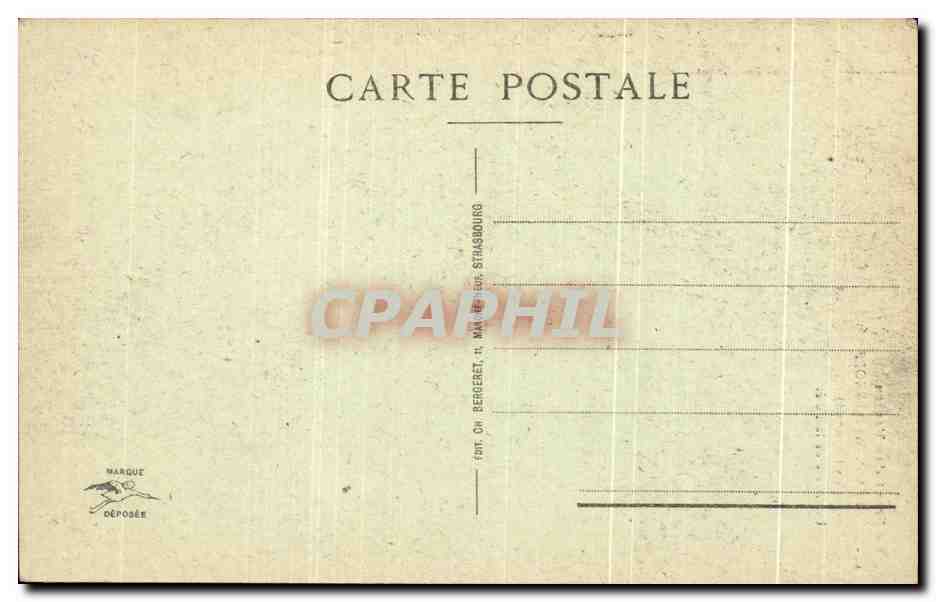 Le Front des Vosges — Hartmannsweilerkopf (Le Vieil Armand) — Un Arbre de la Forêt — éditeur non visible — Achterkant