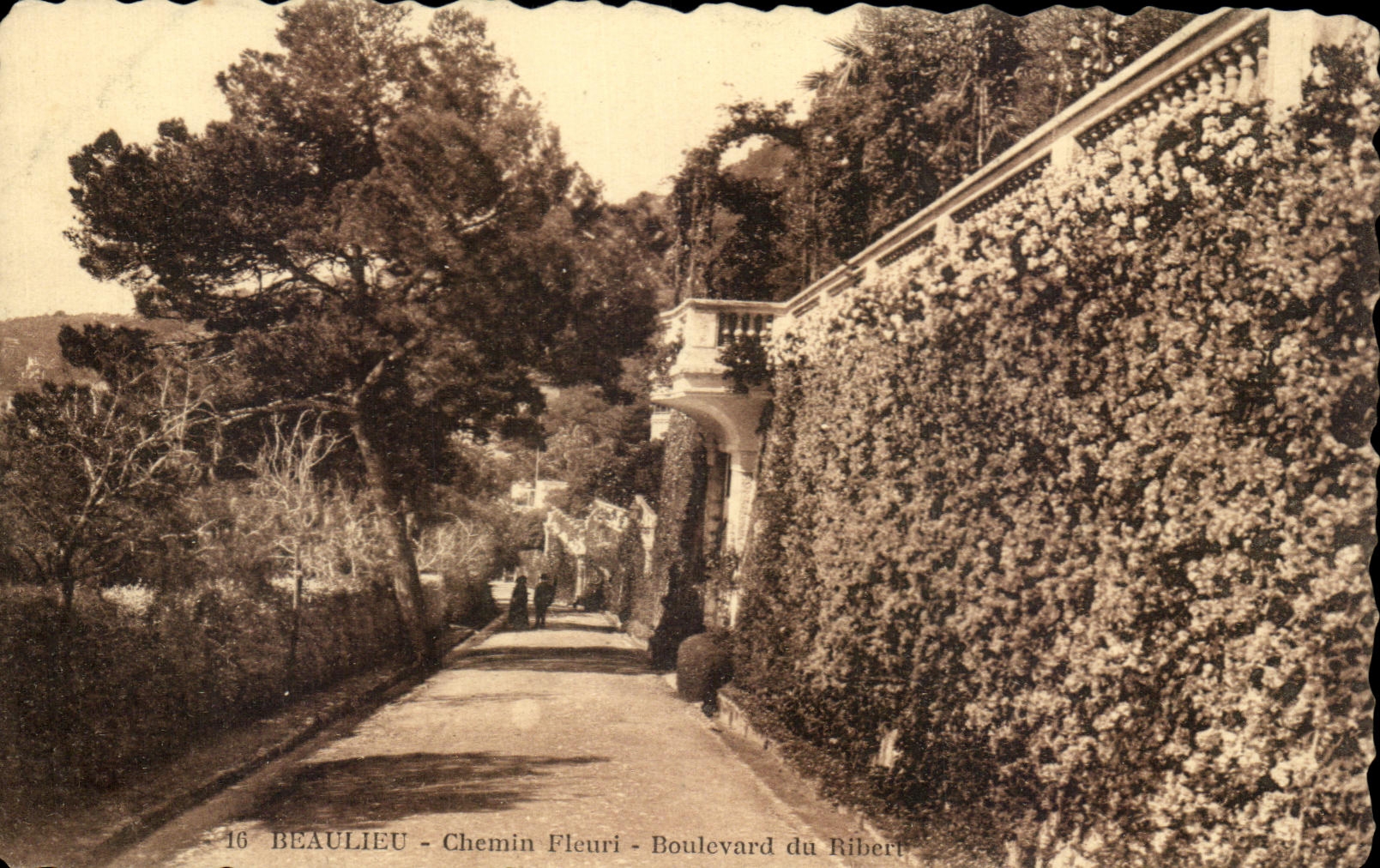 CPA Beaulieu Chemin Fleuri Boulevard du Ribert