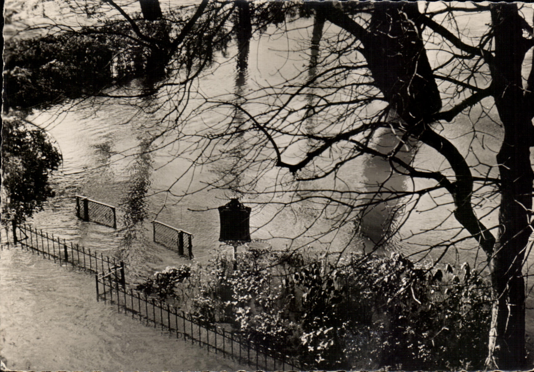 CPSM Paris Inondations Paris Fevrier 1955 Le square du Vert Galant