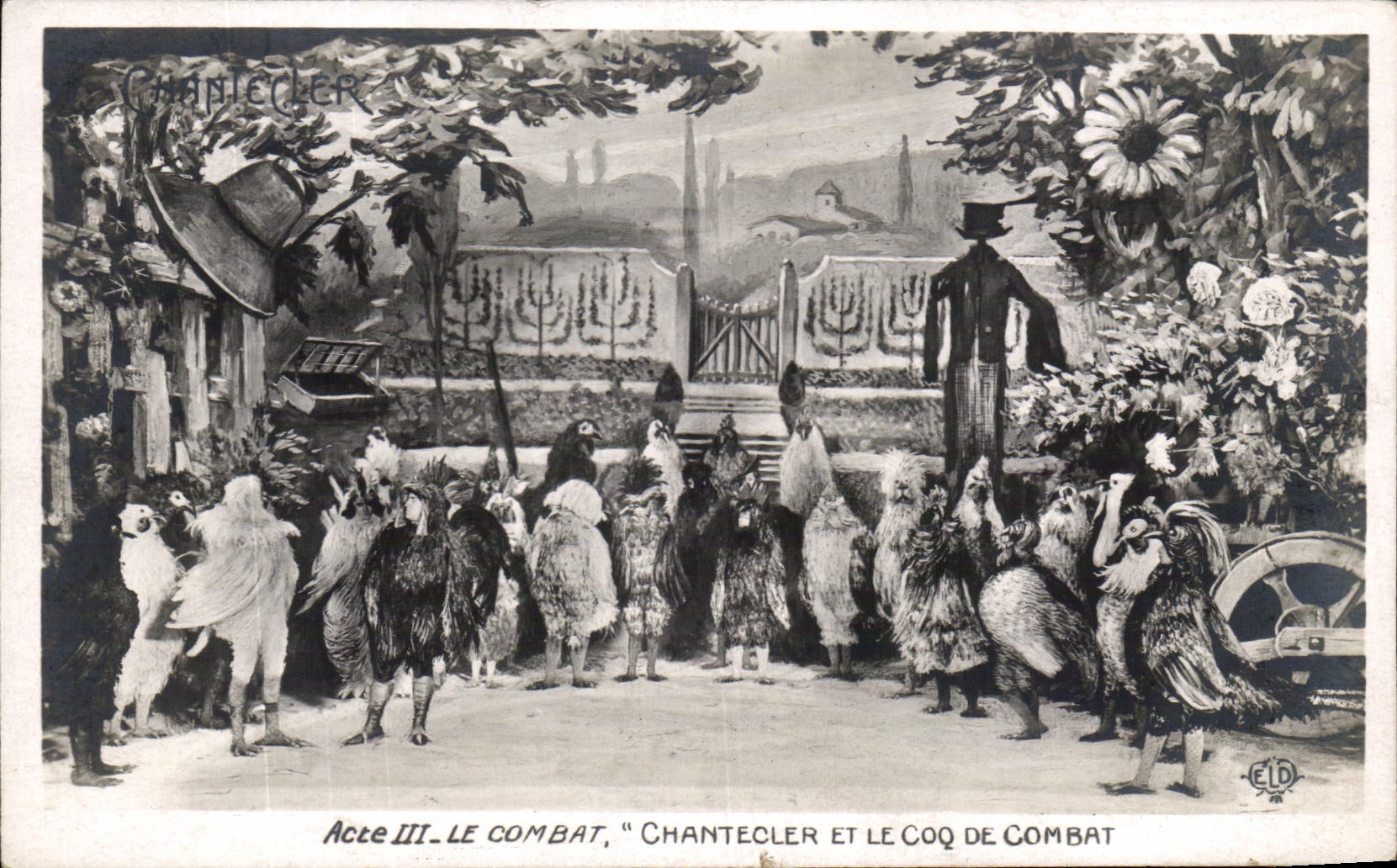 CPA Acte Le Combat Chantecler Et Le Coq De Combat
