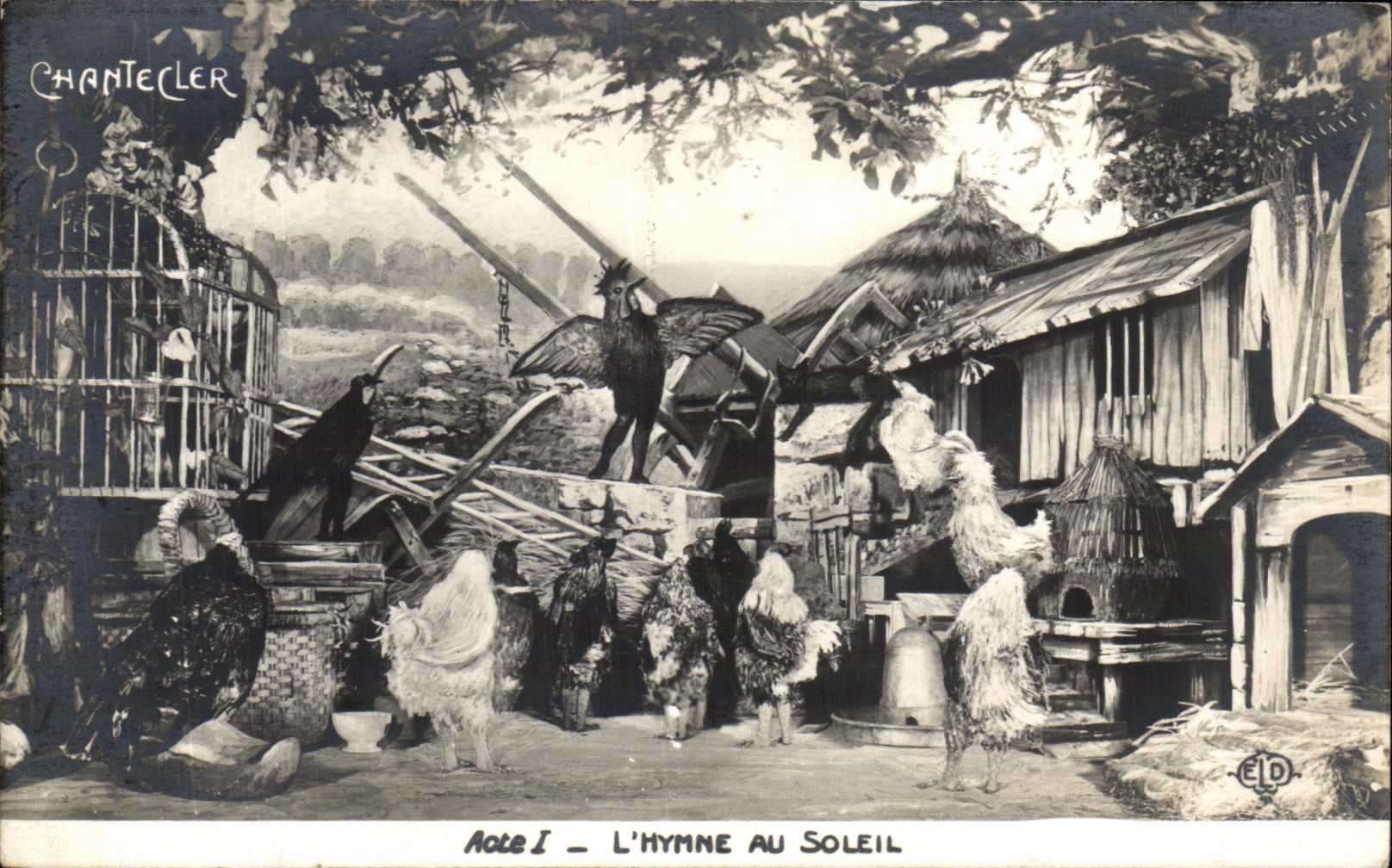 CPA L'Hymme Au Soleil Coq